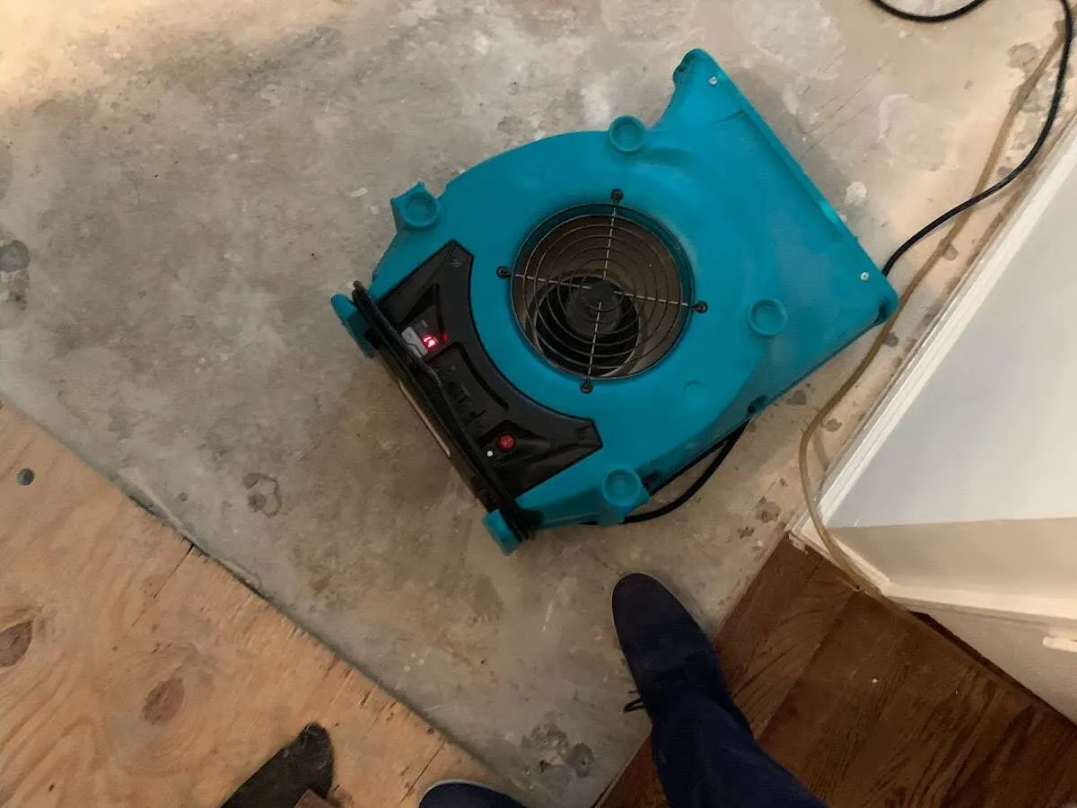 Air mover drying subfloor during Commercial Water Damage Restoration in East Renton Highlands